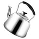 thumbnail image 2 of Whistling Wderan, Gran Tetera de Acero inoxidable de acero inoxidable para el HOGAR PARA EL HOGAR, 2 of 8