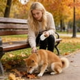 thumbnail image 5 of BotaniNest Retractable Leash With Handed Pause Lock Leash For Small, 5 of 5