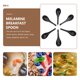 thumbnail image 4 of 6 unids Melamina Sopa Spoons Restaurante Vajilla Food Spoons Famen Spoons, 4 of 4