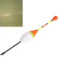 thumbnail image 4 of 10 Uds flotadores de pesca de carpa Set boya Bobber Stick para aparejos de pesca 3,0g Afortunado Sencillez, 4 of 5