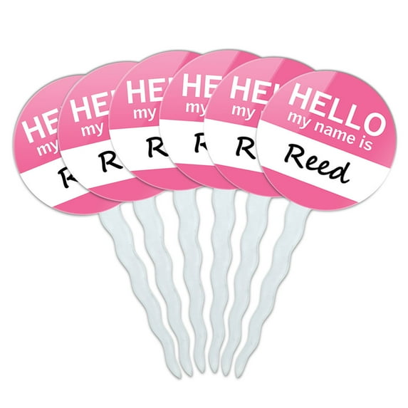 Reed Hello My Name Is Cupcake Picks Toppers - Set of 6