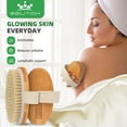 thumbnail image 6 of Paris-Luxury Premium Dry Brushing Body Brush Set, 6 of 7