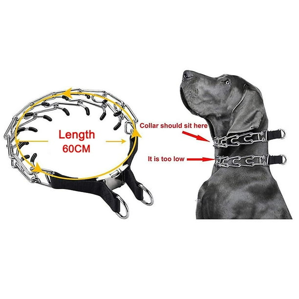 Walmart dog hot sale choke collar