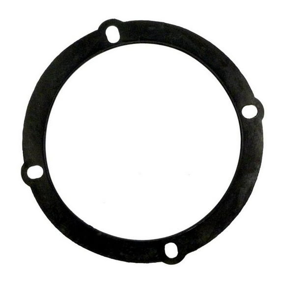 APC APCG3107 Backwash Valve Gasket