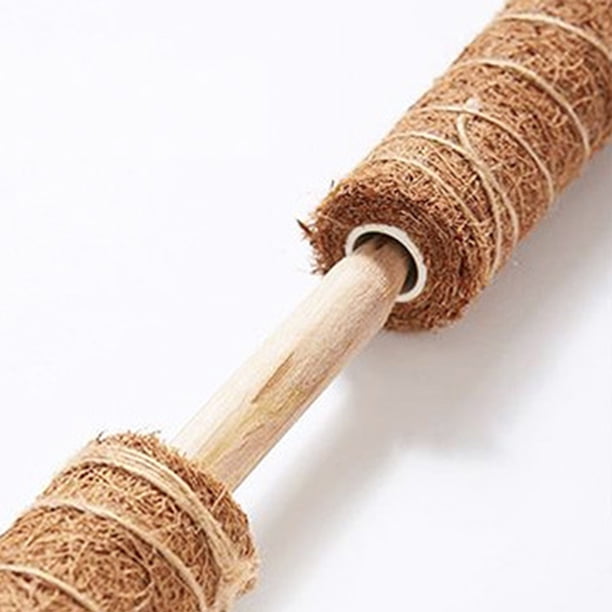 Palo de palma de coco - Postes de soporte para plantas Enredadera trepadora (50 cm) JShteea Libre de BPA