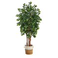 thumbnail image 1 of NearlyNatural T2987 7 ft. Sakaki Handmade Artificial Tree with Planter, 1 of 1
