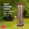 thumbnail image 4 of Perky-Pet 4 lb Squirrel Resistant Easy Feeder, 4 of 14