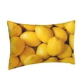 thumbnail image 2 of Bixox Ripe Yellow Lemon Printed Pillow Protector,Super Soft Ideal for Home,Guests,Rentals - 16"x24", 2 of 8