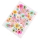 thumbnail image 4 of Hojas Secas Prensadas Naturales Zulema Flores Secas para Manualidades, 4 of 6