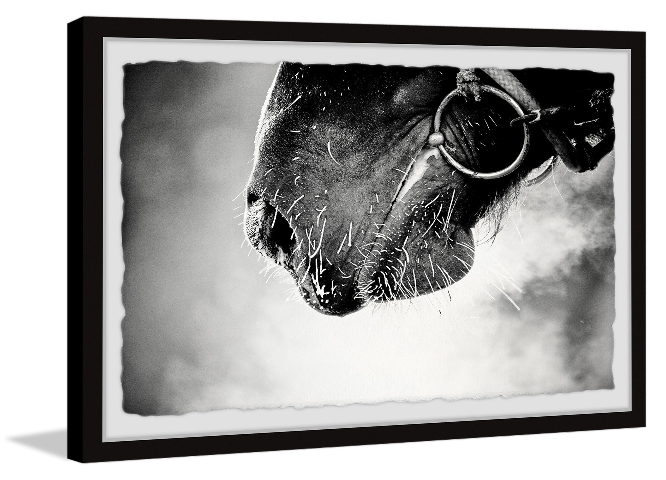Marmont Hill Muzzle Framed Wall Art