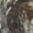 Realtree Edge®, variant on DSG Outerwear Women's Ava 3.0 Camo Hunting Pants Mossy Oak Bottomland LARGE