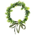 thumbnail image 1 of CIMAXIC Green Plastic Hair Ring for Photo Props Decor Compact Size Lightweight,9.06"X9.06"X1.97", 1 of 5