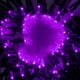 thumbnail image 5 of Luces LED navideñas Yuletime, moradas, 33 pies, 100 unidades, 5 of 7