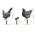 thumbnail image 6 of 3D Chicken Garden Insert Decor, Acrylic Hen Silhouette Chicken Yard Stake Decor Ornament for Outdoor Backyard Decorations, 6 of 6