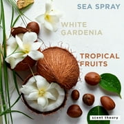 Scent Theory Foaming Hand Soap, Coconut and Ocean Mist, 11 fl oz