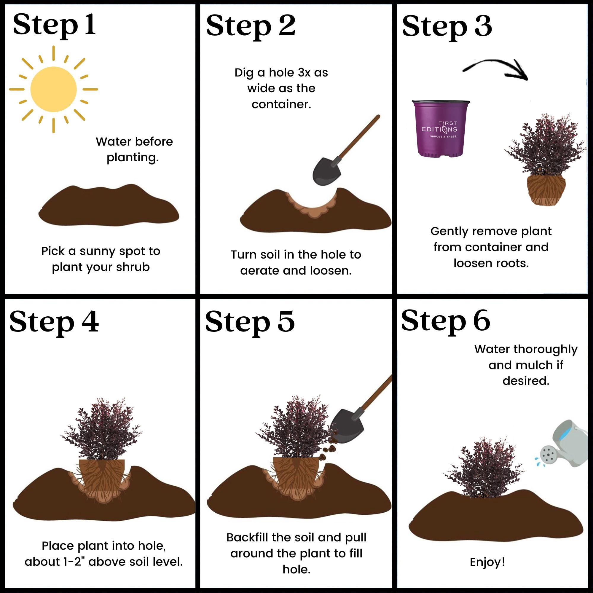 First Editions Shadow Magic Crape Myrtle Live Shrub in 2-Gallon Grower Pot