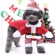 thumbnail image 5 of Suéter de gato de Papá Noel Suéter de invierno cómodo para perros Suministros para mascotas para perros (M) Sywqhk Libre de BPA, 5 of 9