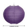 thumbnail image 4 of WIRESTER 5pcs Set Purple 10 inch Hanging Paper Lanterns Decorative Kit Round Paper Lanterns for Birthday Parties, Weddings, 4 of 7