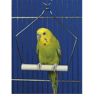 Penn-Plax Coconut Hide with Ladder, Bird or Small Animal Cage 