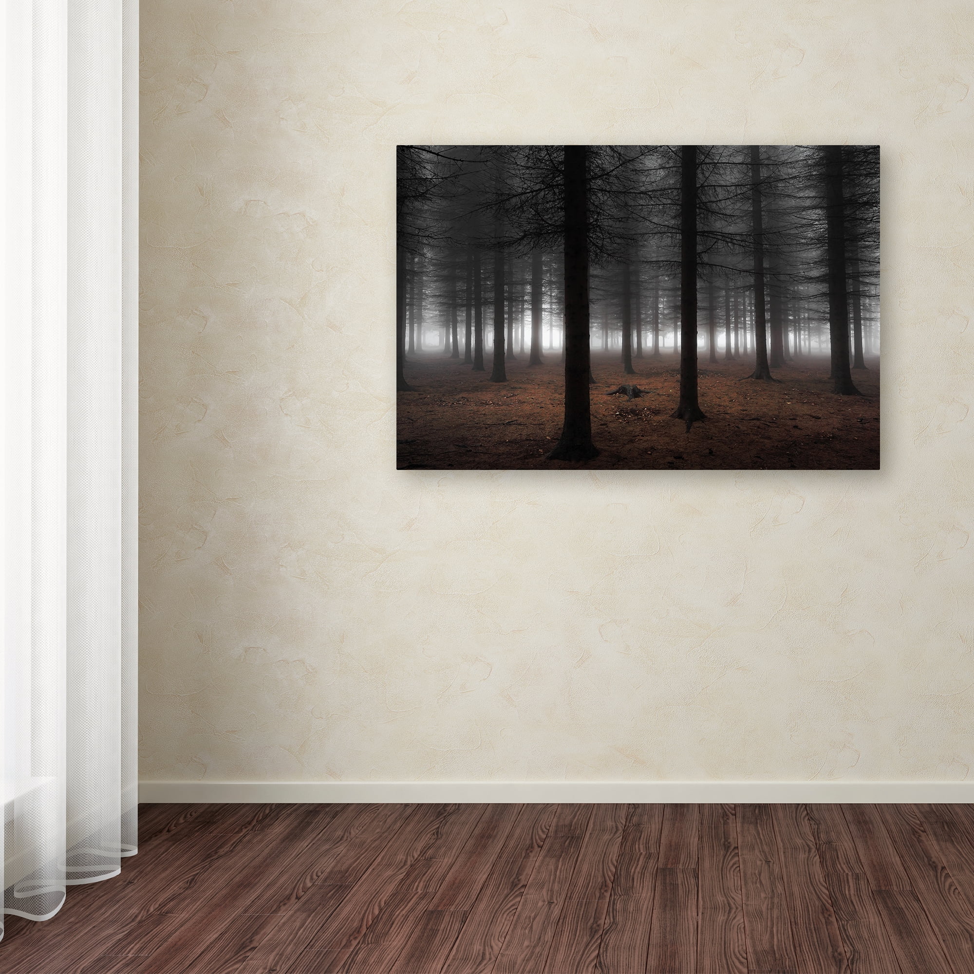 Dragisa Petrovic 'Silence' Canvas Art