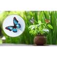 thumbnail image 5 of 8 Pcs Butterfly Painting Kits, Diamond Art Kits for Garden Decor, Butterfly Stakes Diamond Art Kits for Adults, Crafts for Adults, 5 of 8