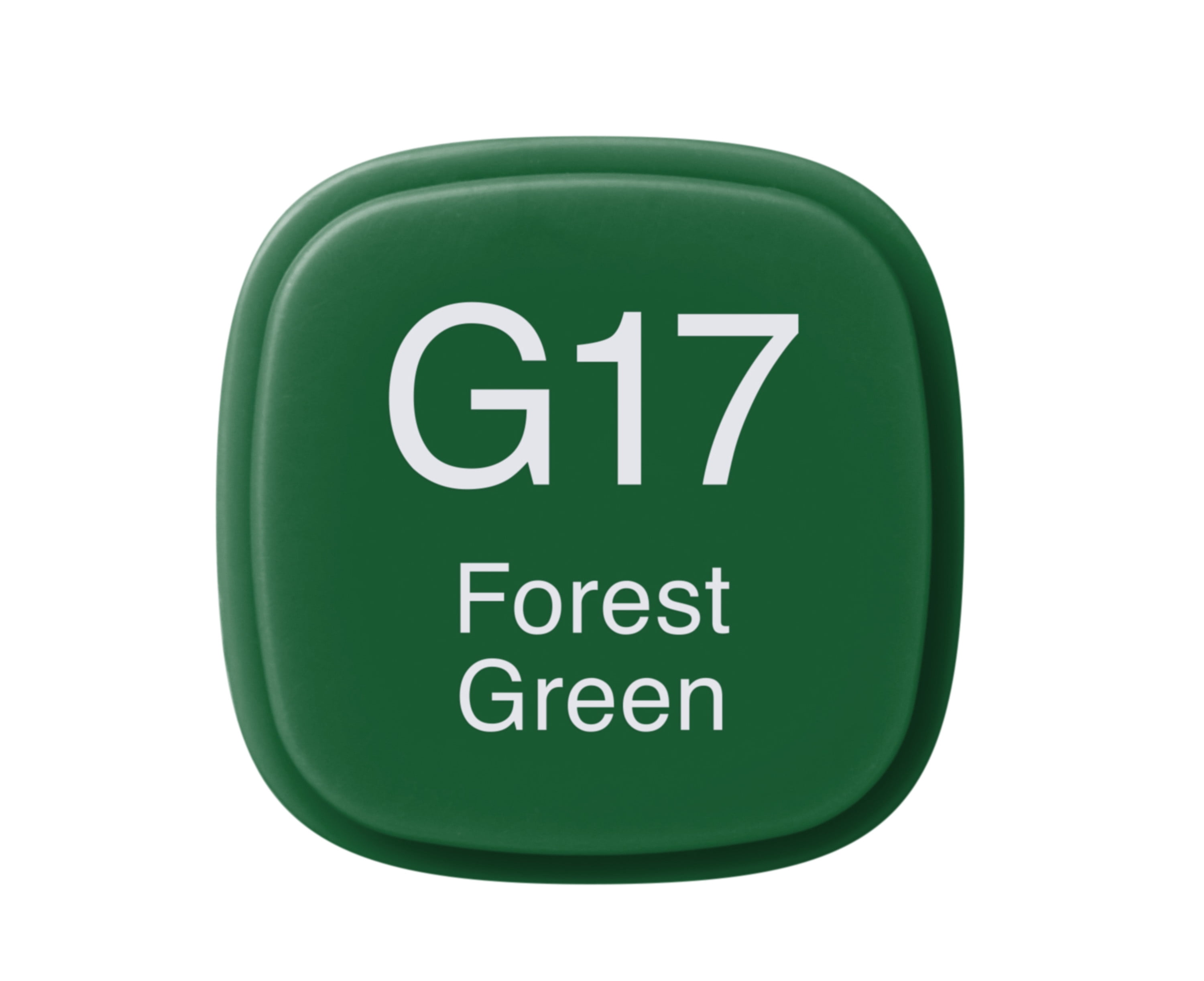 Copic Classic Marker, Forest Green