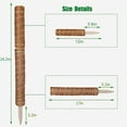 thumbnail image 6 of Wattne 17 in Coir Moss Plant Support Stakes with Zip Ties and Velcro Tape (4 Pack), 6 of 10