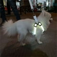thumbnail image 5 of LED Dog Harness,USB Rechargeable Lighted Dog Harness,Comfortable Glow in Dark Dog Harness for Your Small Medium Large Dogs Night Safety Walking (Red,L), 5 of 10