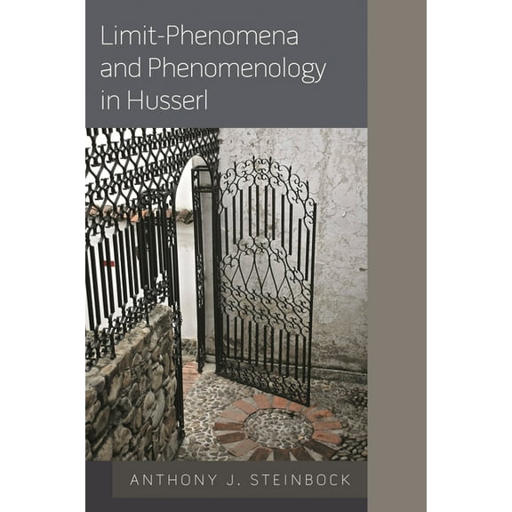 Limit-Phenomena and Phenomenology in Husserl, (Hardcover)