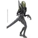 thumbnail image 1 of Figura de acción Hiya Toys Alien contra Predator Grid Alien 1:18, 1 of 1
