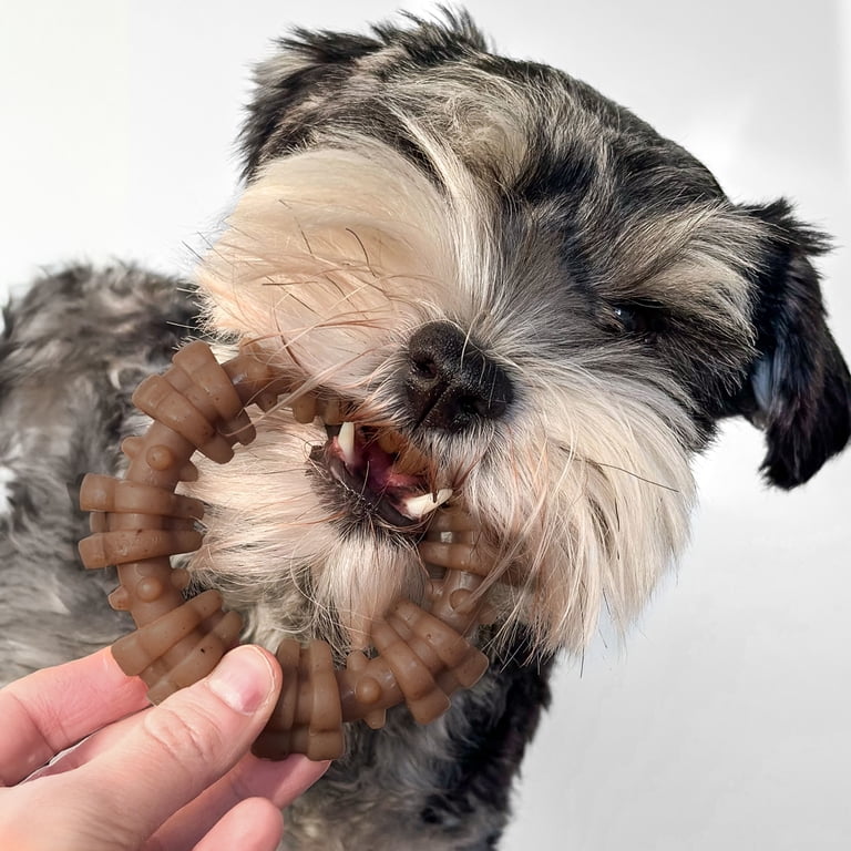 Nylabone Strong Chew Textured Ring, Beef & Chicken photo 5
