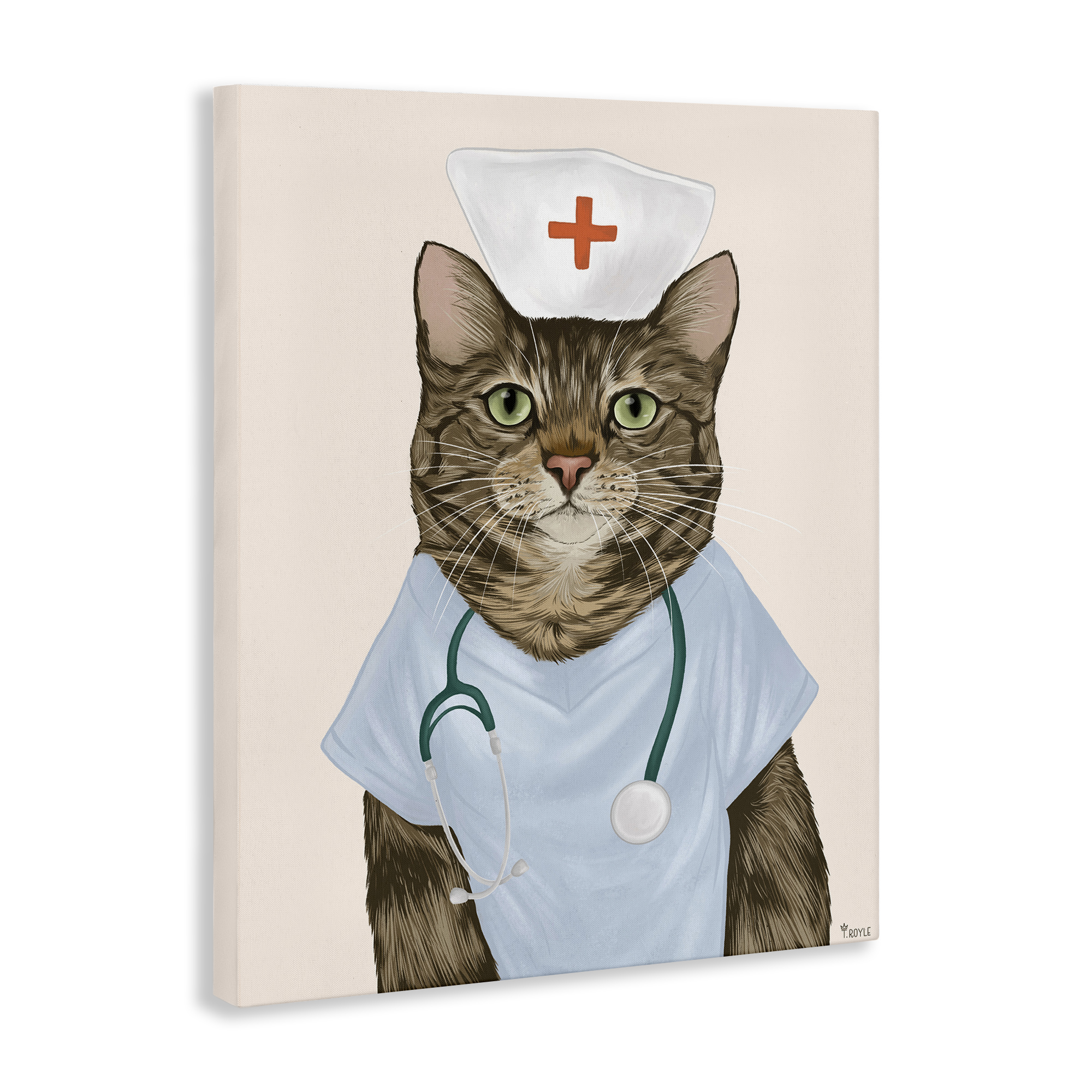 Stupell Industries Nurse Doctor Cat Animals & Insects Painting Gallery Wrapped Canvas Art Print Wall Art, 16 x 20