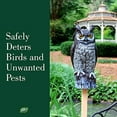 thumbnail image 2 of Dalen Fake Owl Decoy to Scare Birds Away from Gardens, Rooftops, and Patios - Scarecrow Provides Chemical-Free Pest Control - Safe and Humane, 16" Great Horned Owl, 2 of 5