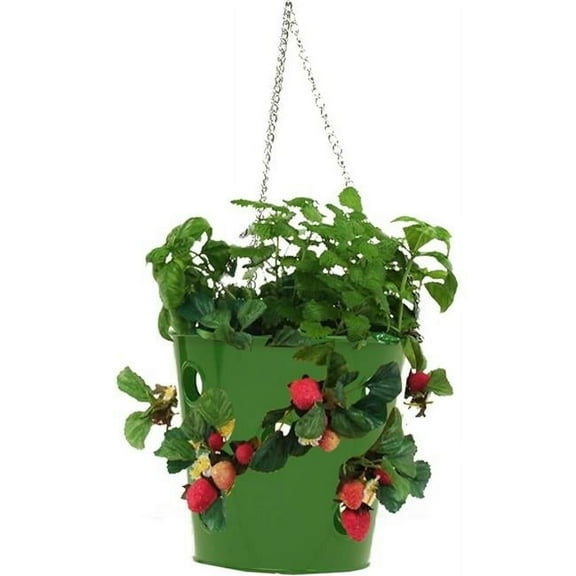Houston International Trading 8495E SA S-2 14 x 8 in. Enameled Galvanized Steel Strawberry & Floral Hanging Planter, Sage Green - Set of 2
