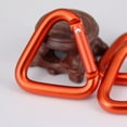 thumbnail image 3 of Triangle - Shaped Heavy - Duty Climbing Carabiner Clips, 3 of 3