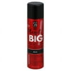 Salon Grafix Play It Big! 5.3 Fl. Oz. Dry Shampoo