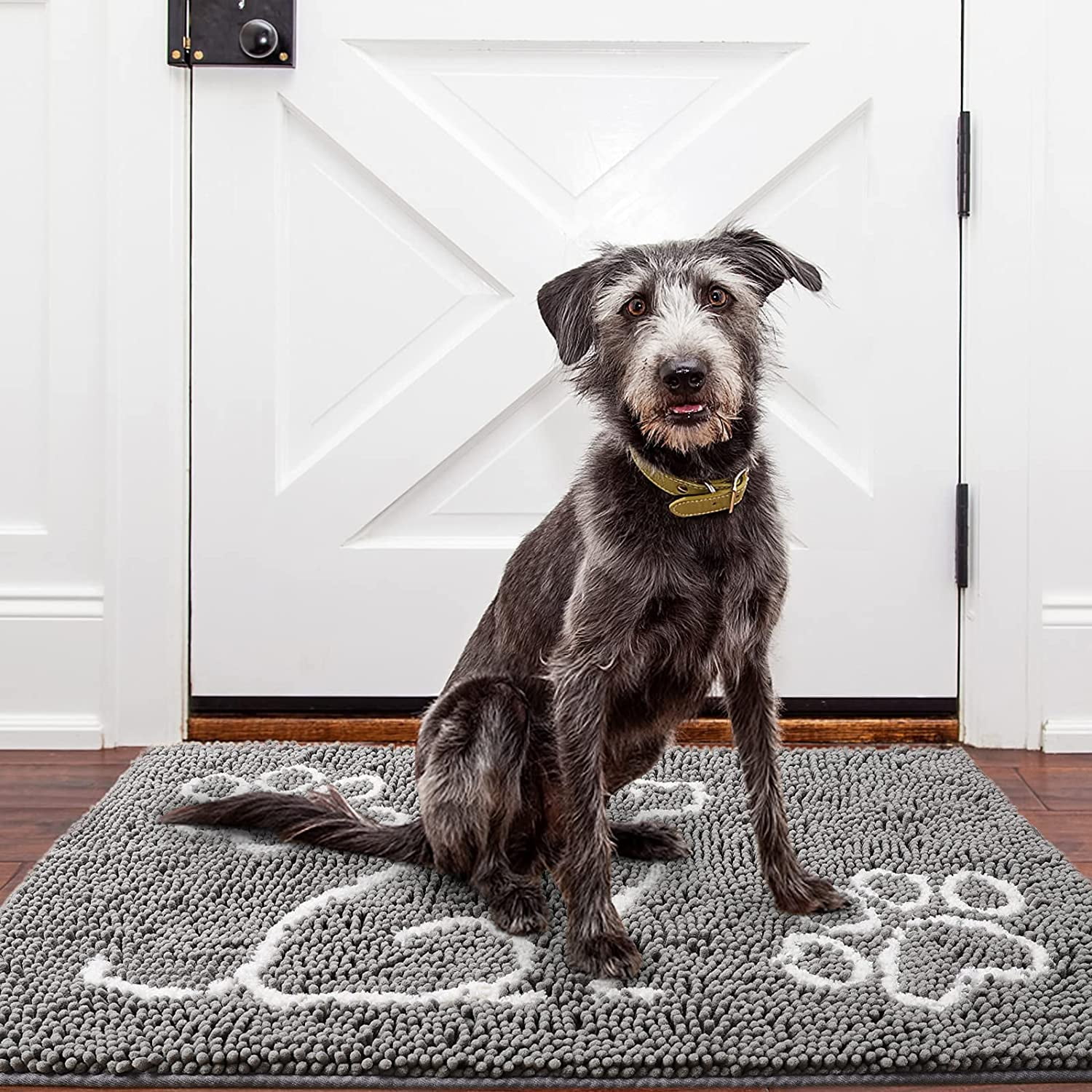 YJ.GWL Indoor Door Mat Entryway Rug Traps Mud and Dirt, Absorbent Doormats  for Muddy Shoes Dog Paws, Non Slip Bath Mat Welcome Floor Mats,30x48,Gray  with Print 