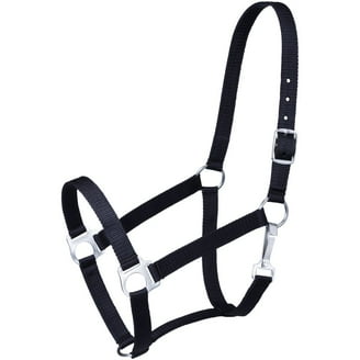 Licol Cheval Tough 1 Nylon Bleu Royal Taille Cheval - Economy Halter 50-1701