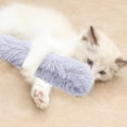 thumbnail image 4 of Jouet pour Chat Oreiller Doux et durable Jouet Interactif Intérieur, 4 of 5
