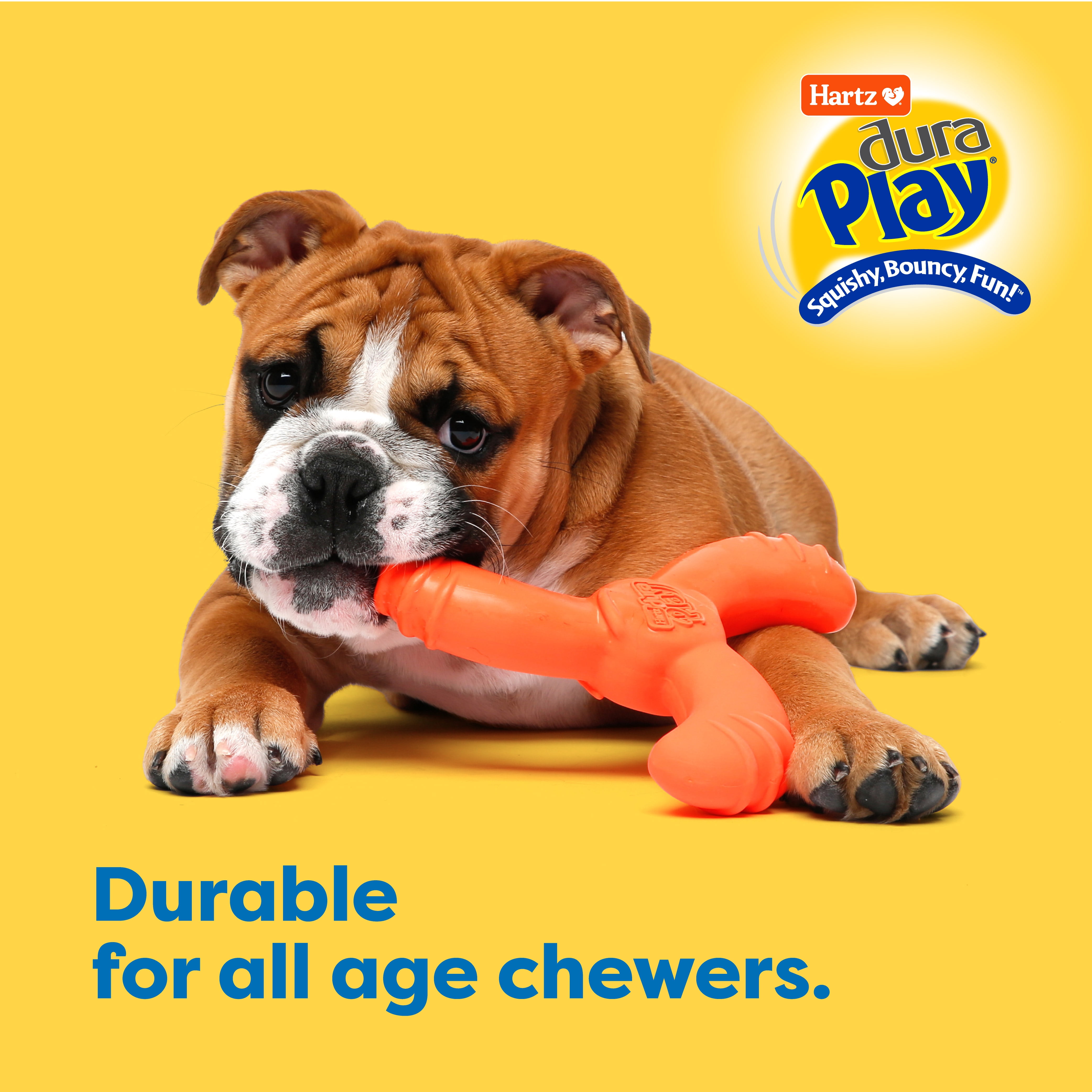 (1 pack) Hartz Dura Play Boomerang Dog Toy, Latex, 1 Count