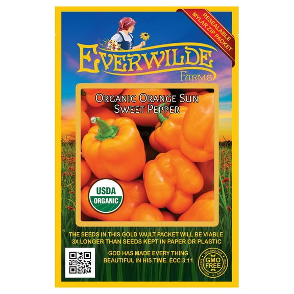 Everwilde Farms - 12 Organic Orange Sun Sweet Pepper Seeds - Gold Vault Jumbo Bulk Seed Packet