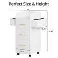 thumbnail image 2 of DreamCurship Beauty Salon Trolley Cart, Salon Cabinet with 360°Wheels, 3 Drawer, 6 Tool Holders, Barber Hair Stations for Salon Beauty Spa, White, 2 of 12
