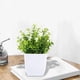 thumbnail image 5 of Plantas Artificiales En Maceta con Flores, Pequeñas Plantas Artificiales para Decoración de Interiores (Hogar, Baño, Cocina, Oficina, Escritorio), Planta de Plástico Verde de 18 Cm de Altura, 5 of 6