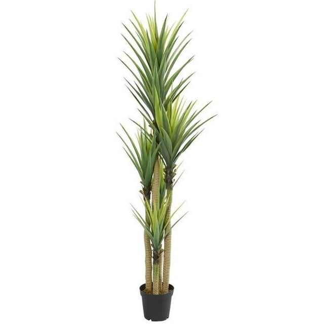 Nearly Natural 6342 Dracaena Plante Artificielle