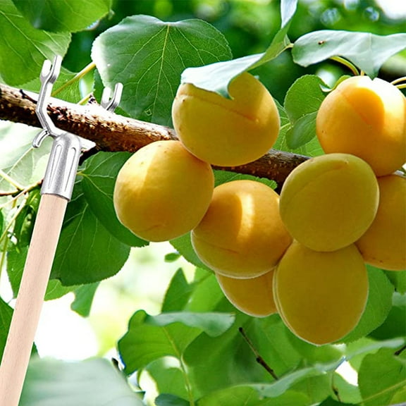 Fruit tree support fork 10 pcs Metal Tree Branch Support Fruit Tree Support Fork Garden Tree Support Fork