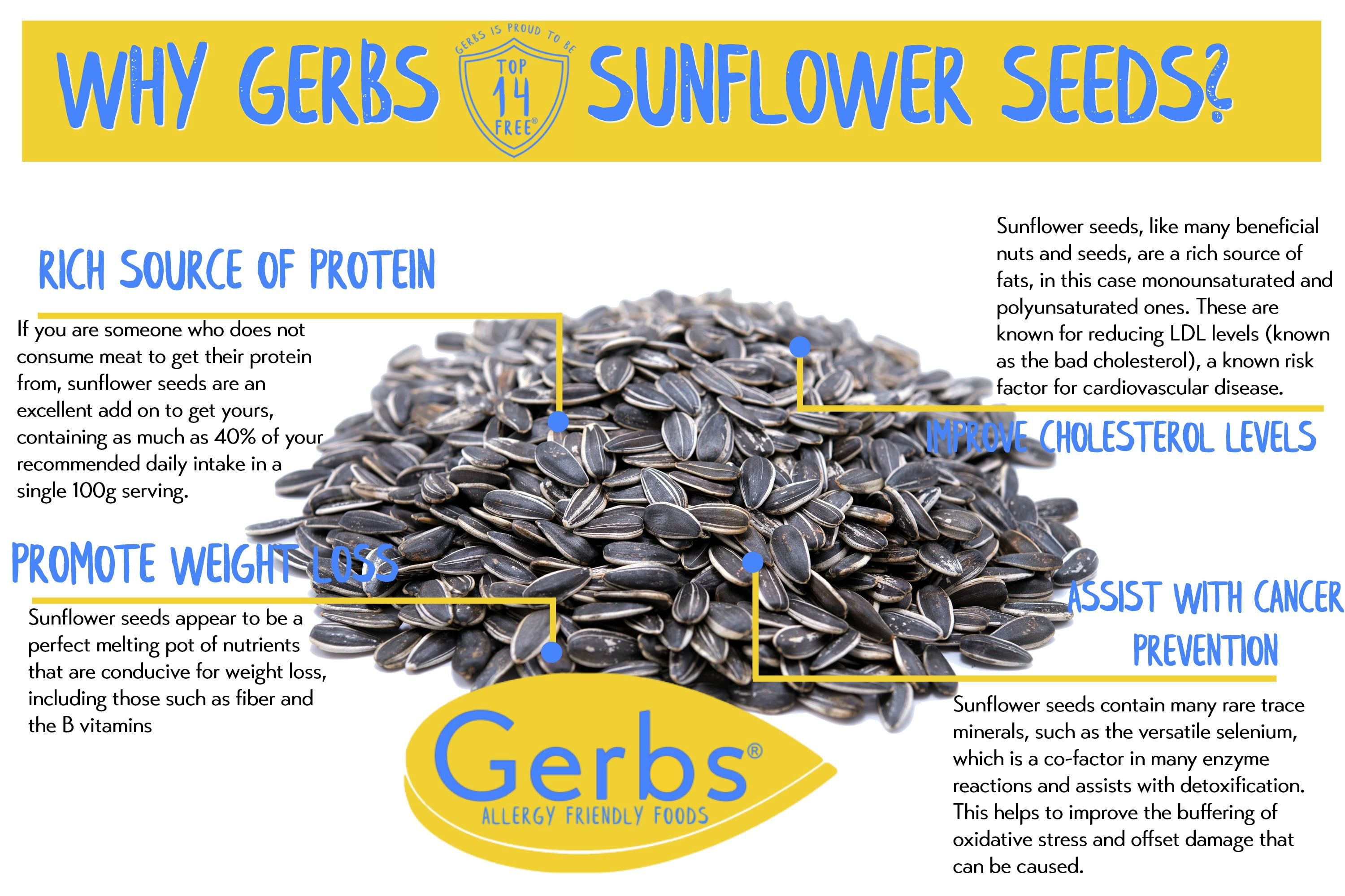 GERBS Raw Whole Sunflower Seeds, 32 oz (2 lb re-closeable bag), Top 14 Food Allergen Free, Non GMO, Vegan, Keto, Paleo Friendly