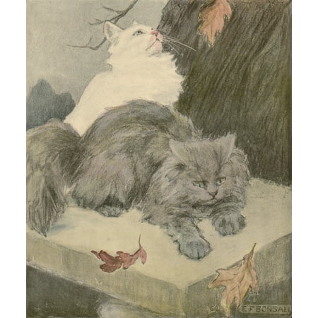 The Book of the Cat 1903 Autumn leaves Canvas Art - Elizabeth Bonsall (24 x 36)