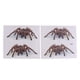 thumbnail image 2 of 2 piezas transparente mate pegatinas acuario pared fondo Jinwen Vinilo decorativo reptil, 2 of 8