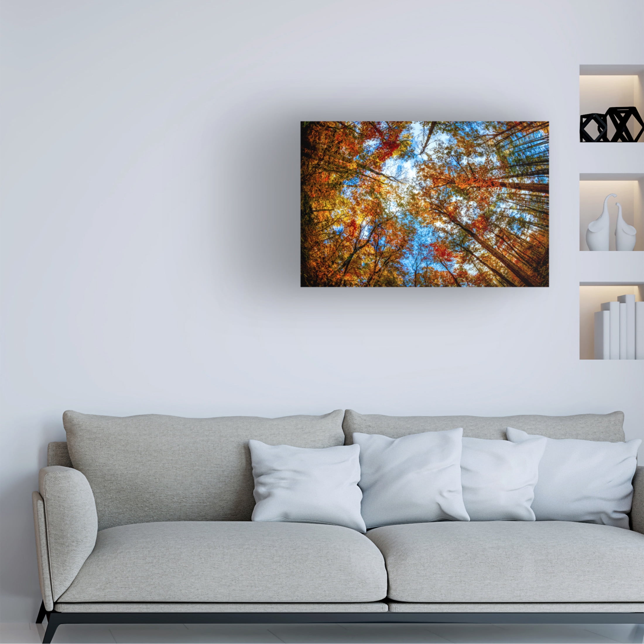 Canvas Wall Art - Celebrate Life Gallery 'Canopy in Autumn' Wall Art for Living Room, Bedroom, or Office Décor by Trademark Fine Art - 47 x 30 Inches