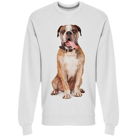 Mixed Breed Dog Sticking Tongue Sweatshirt Men - Men Sweatshirt, Large